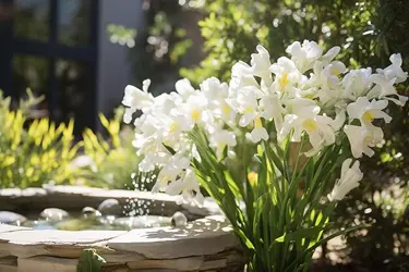 Piękny ogród z białymi kwiatami i fontanną